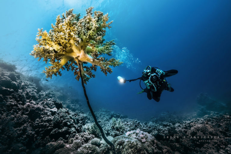 Underwater Photographer