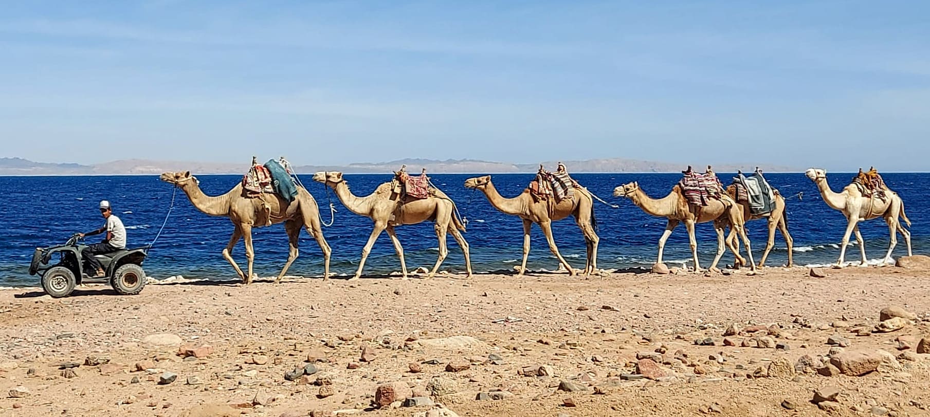 dahab synaj