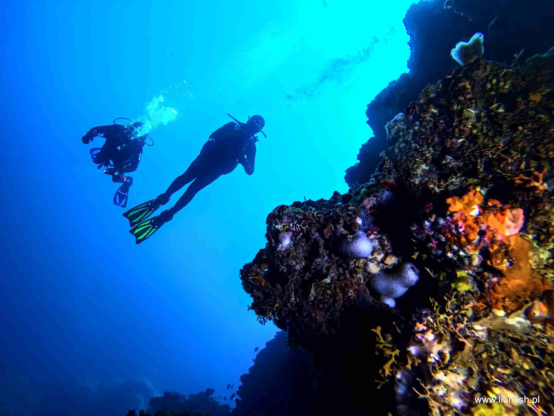 diving adventure