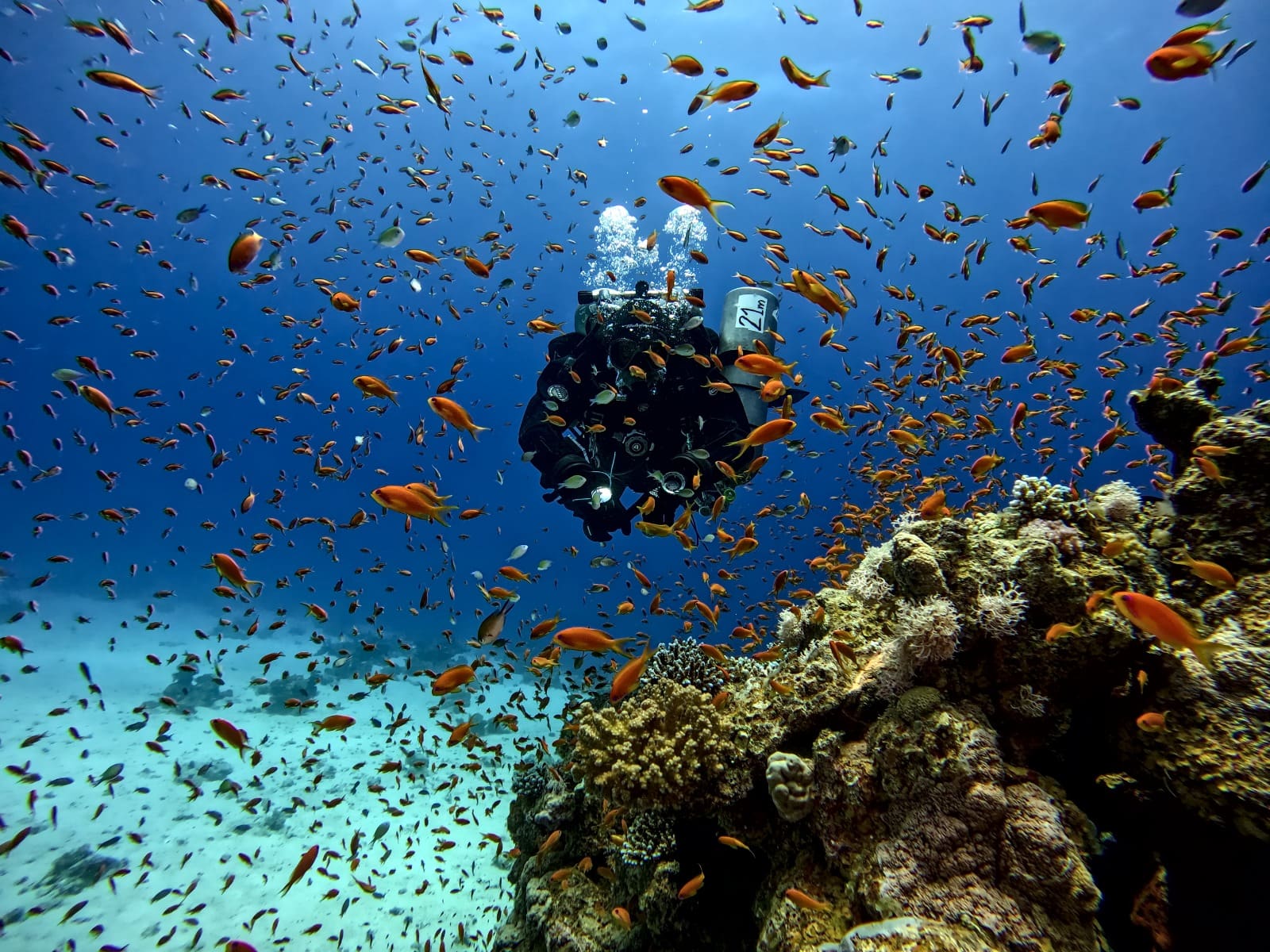 diving adventure