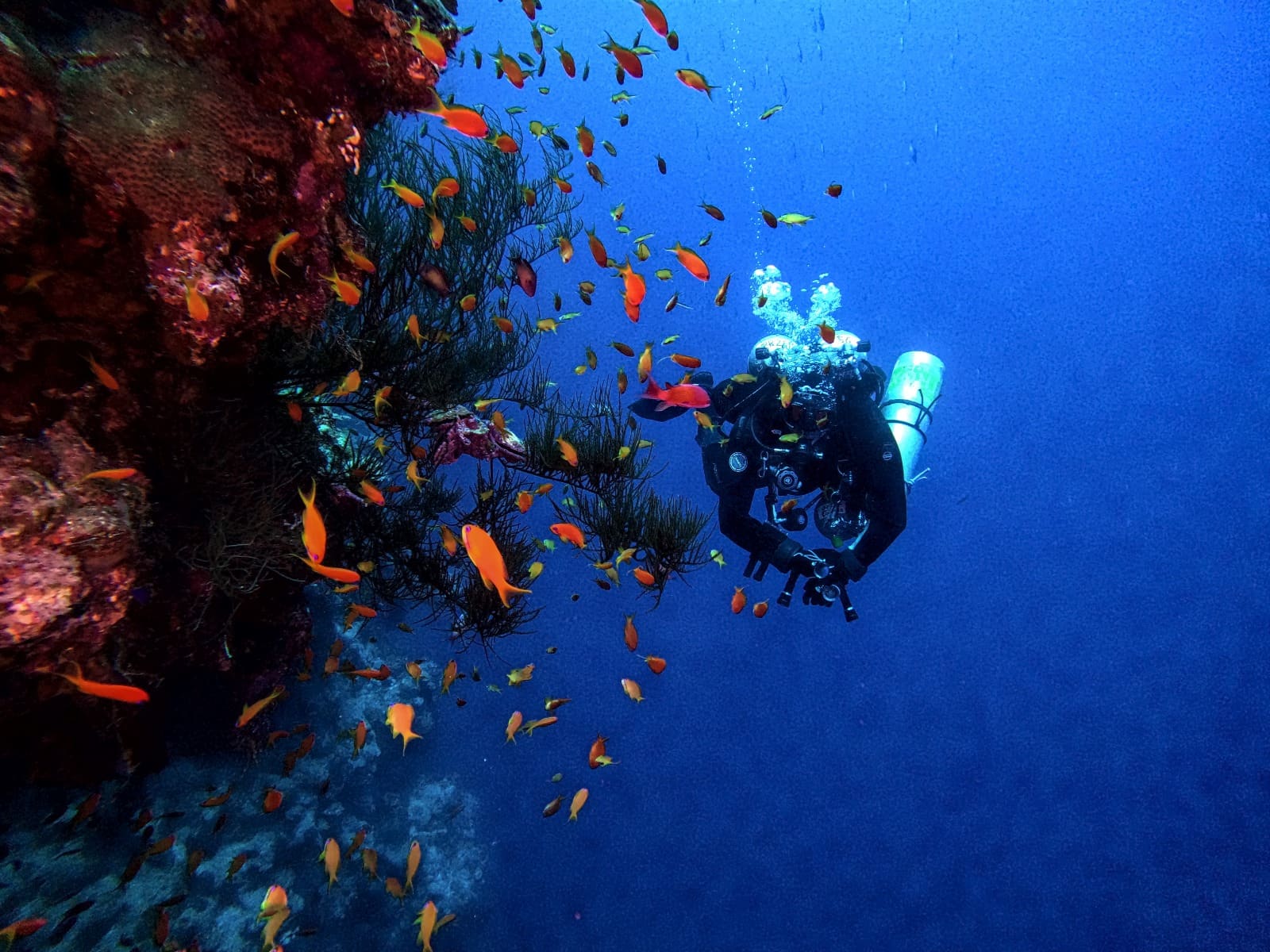 diving adventure